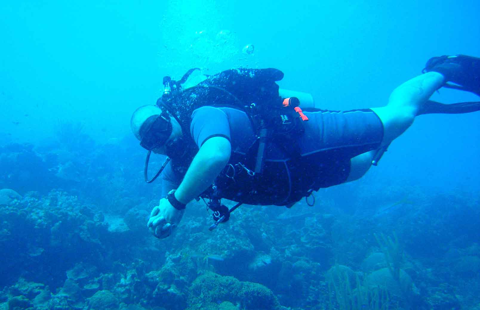 Diver Horizontal Swim